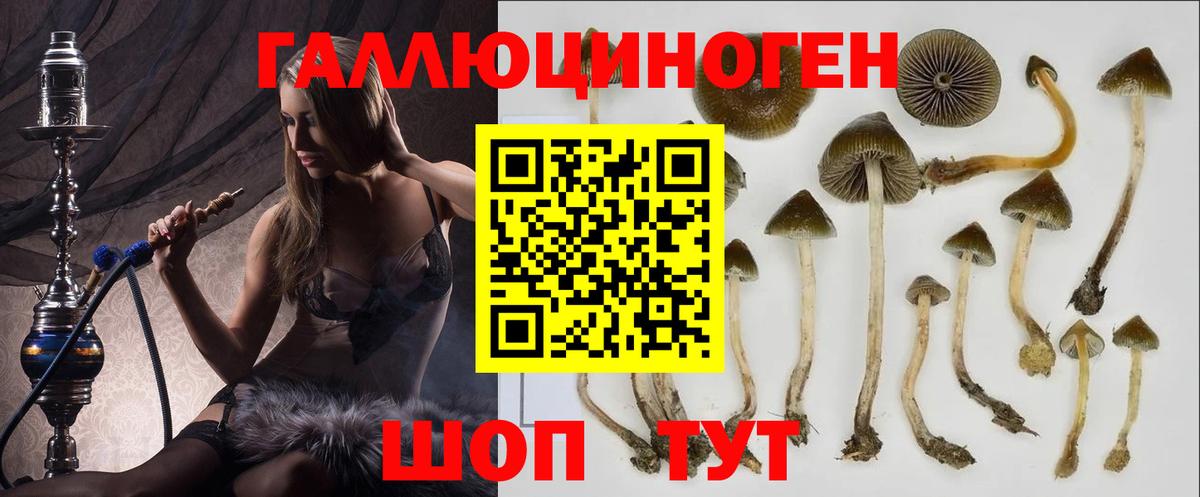 Благовещенск  Галлюциногенные грибы Psilocybe  Вход с VPN  Галлюциногенные грибы мухоморы 