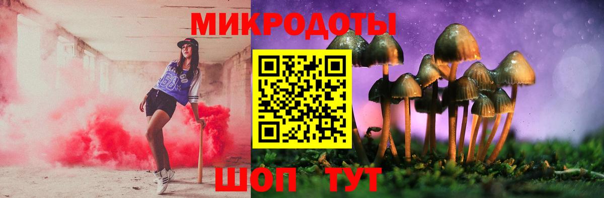 Псилоцибиновые грибы Psilocybe Благовещенск